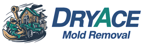 Dryace Mold Removal